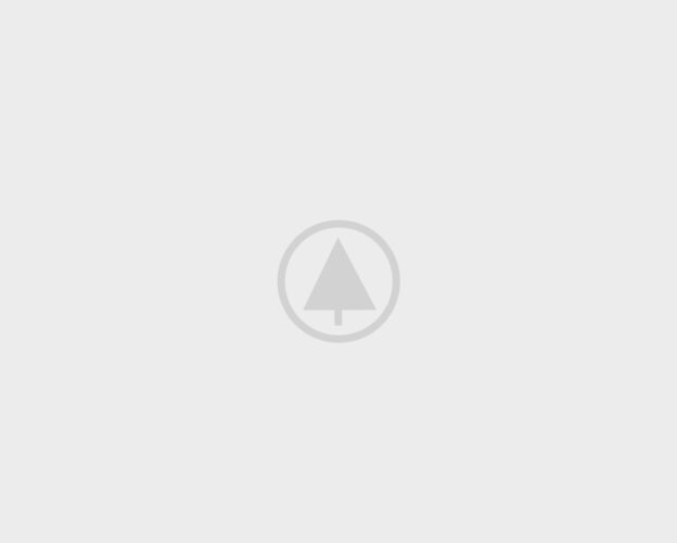 wood-gallery-placeholder wood-gallery-placeholder